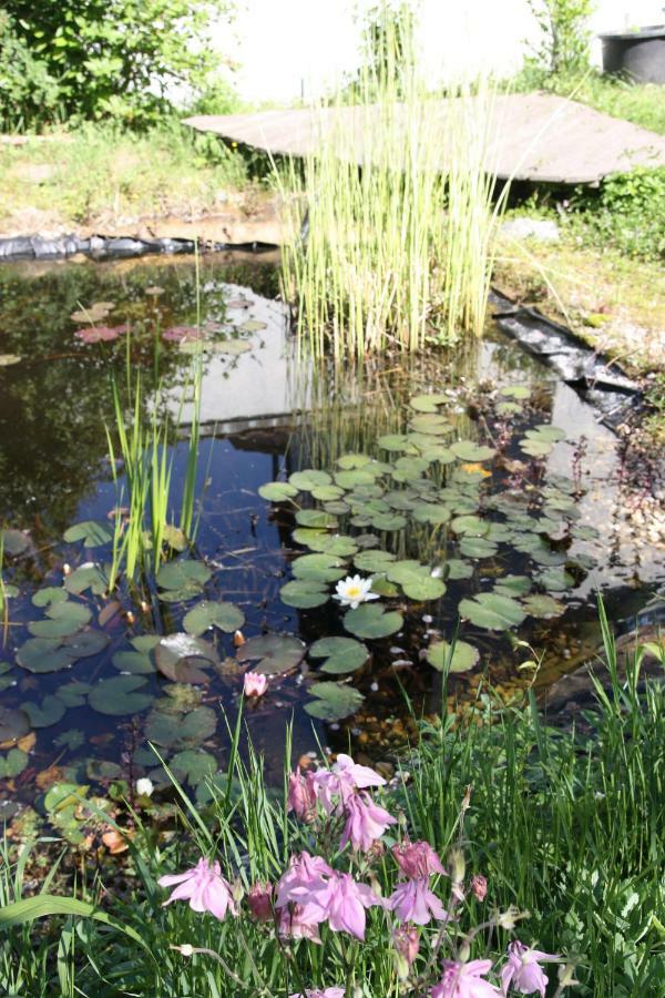 Gemuetliche Gaestezimmer In Einem Neu Sanierten Fachwerkhaus 萨森海姆 外观 照片